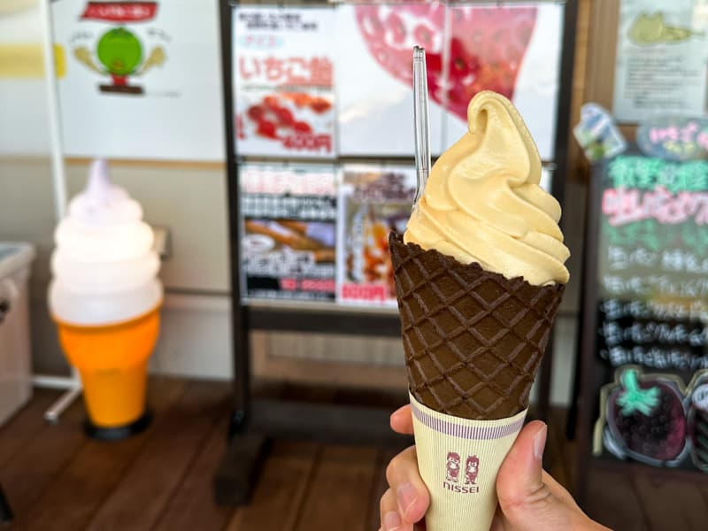 Carrot ice cream from the Itano Roadside Station in Tokushima, Shikoku.