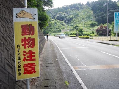 Attention sign for inoshishi boars