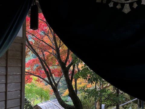 An Autumn view from within a shrine