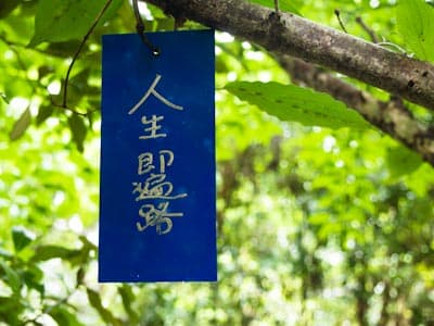 A sign tied to a tree branch with the phrase “Life is a pilgrimage” in Japanese